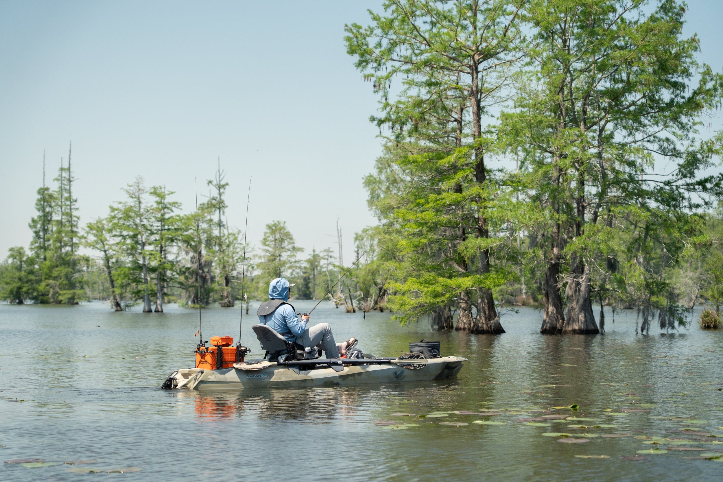 Adventure Fishing in the Swamp: Santee-Cooper, South Carolina