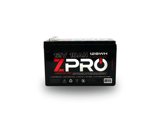ZPro Lithium Batteries & Chargers – Feelfree US